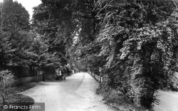 Woodfield Lane 1928, Ashtead
