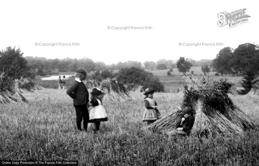 Coltishall, Harvest Games 1902