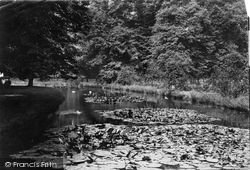 Water Lilies 1890, Hampton Court
