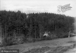 Pine Hurst 1919, Headley