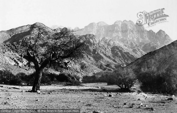 Mount Serbal photo