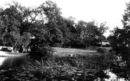 South Walsham photo